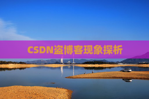 CSDN盗博客现象探析 CSDN盗博客现象探析